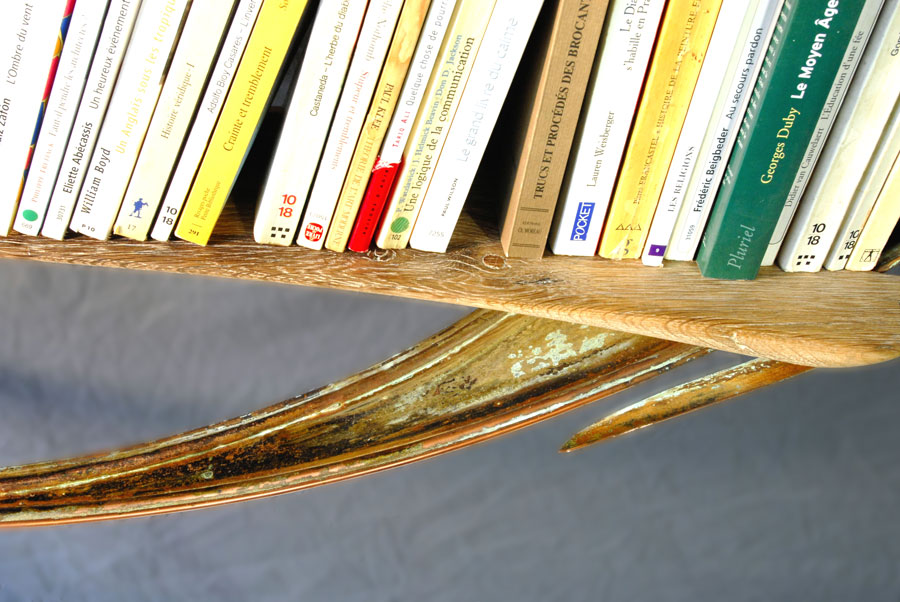 BIBLIOTHÈQUE-ELLIPSE N°7 : DETAIL
